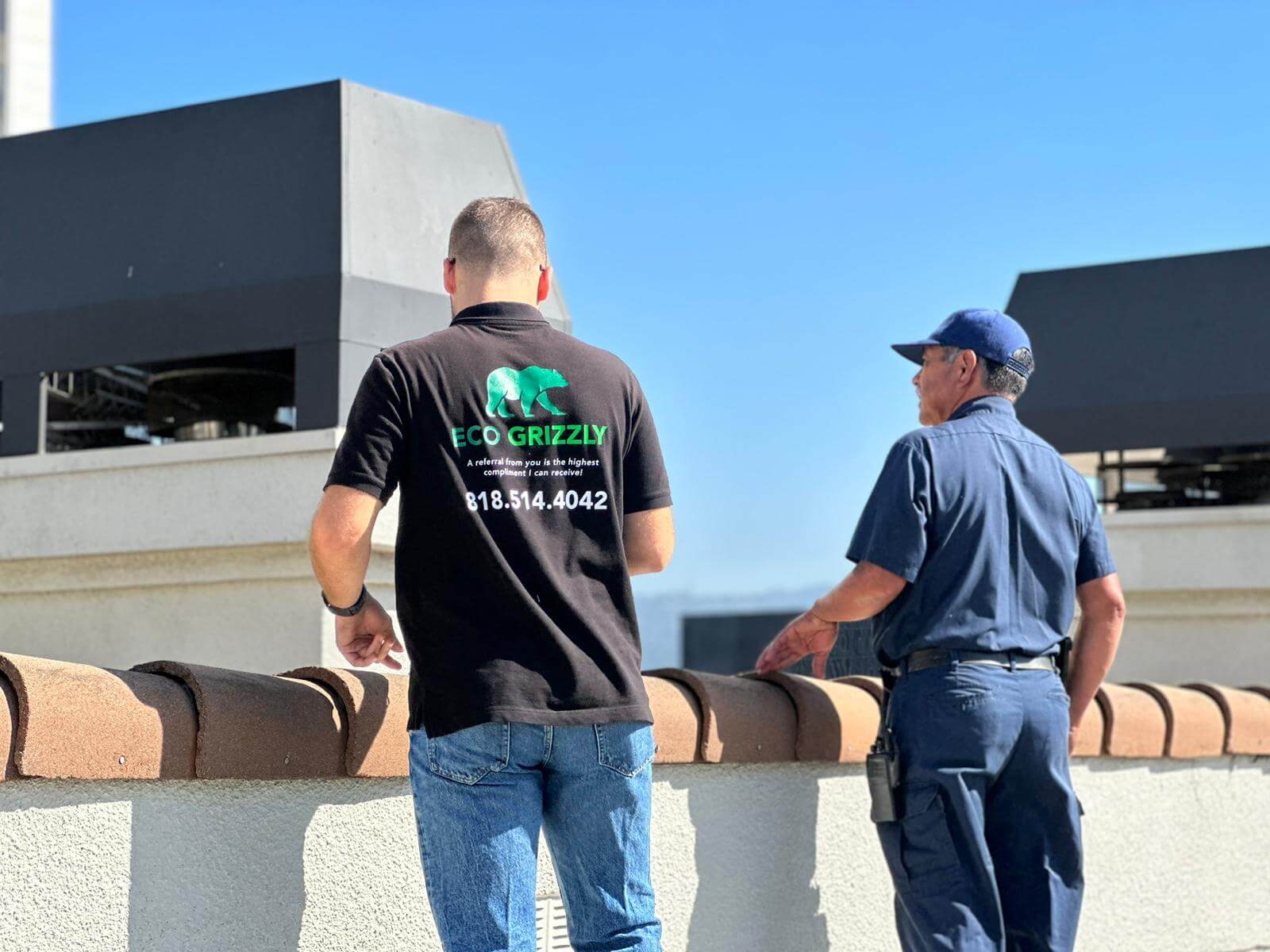 Eco grizzly - Chimney services