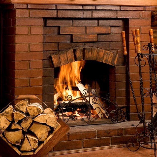 Eco Grizzly Chimney Team Canoga Park